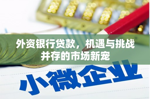 隆子外资银行贷款，机遇与挑战并存的市场新宠