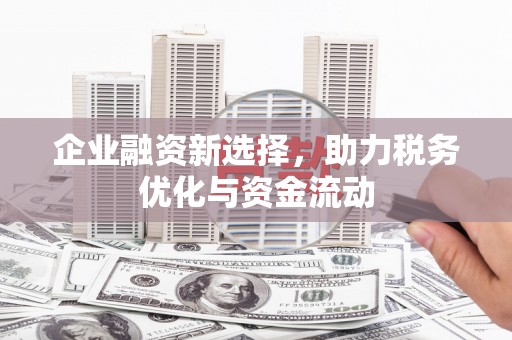 士林企业融资新选择，助力税务优化与资金流动