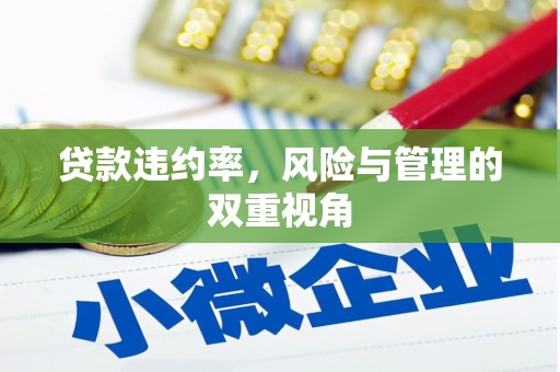 疏附贷款违约率，风险与管理的双重视角