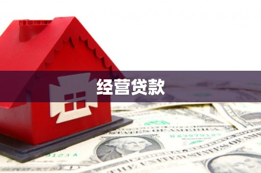下城经营贷款