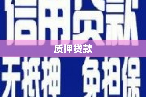 盐山质押贷款