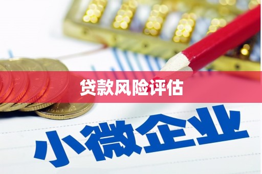 抚州贷款风险评估