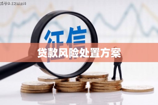 滴道贷款风险处置方案