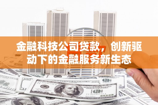 那玛夏金融科技公司贷款，创新驱动下的金融服务新生态