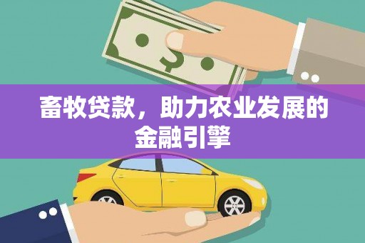 召陵畜牧贷款，助力农业发展的金融引擎