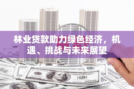 成县林业贷款助力绿色经济，机遇、挑战与未来展望
