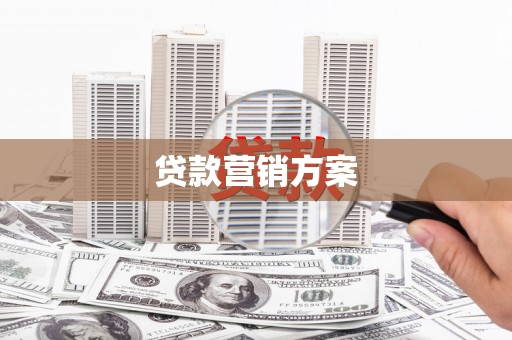 利通贷款营销方案