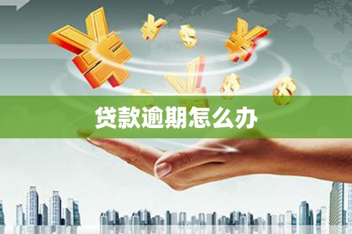 卧龙贷款逾期怎么办