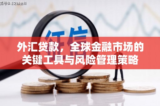 马山外汇贷款，全球金融市场的关键工具与风险管理策略