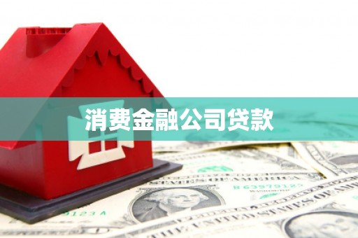 鹿野消费金融公司贷款