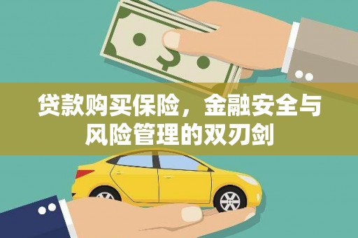 瑞芳贷款购买保险，金融安全与风险管理的双刃剑