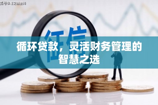 丰宁循环贷款，灵活财务管理的智慧之选