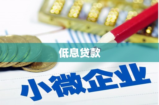 巴里坤低息贷款