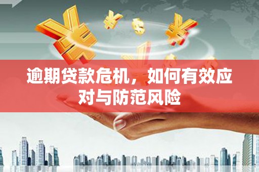 久治逾期贷款危机，如何有效应对与防范风险