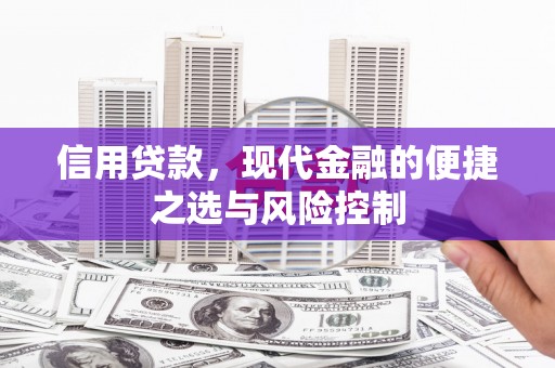 芙蓉信用贷款，现代金融的便捷之选与风险控制