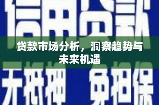 连云贷款市场分析，洞察趋势与未来机遇