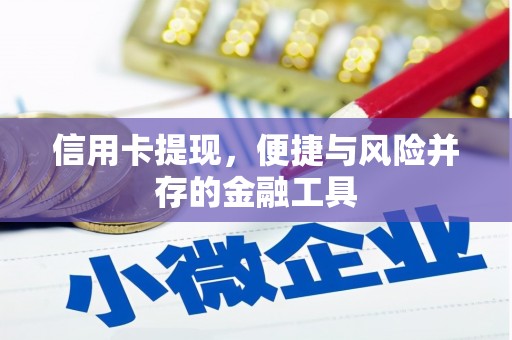 临翔信用卡提现，便捷与风险并存的金融工具
