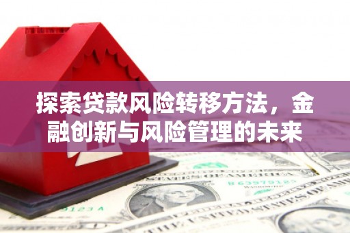 大丰探索贷款风险转移方法，金融创新与风险管理的未来