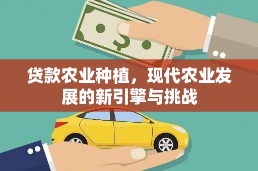 南郊贷款农业种植，现代农业发展的新引擎与挑战