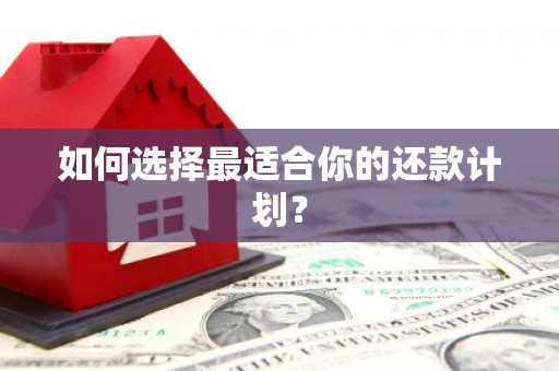 凉城如何选择最适合你的还款计划？