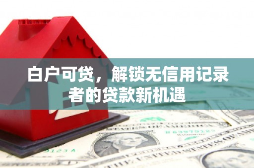 隆子白户可贷，解锁无信用记录者的贷款新机遇