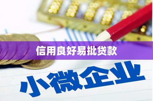 新泰信用良好易批贷款