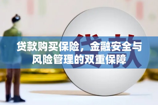 昌都贷款购买保险，金融安全与风险管理的双重保障