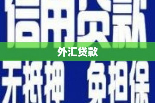 灌南外汇贷款