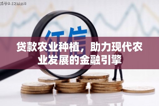 甘肃贷款农业种植，助力现代农业发展的金融引擎