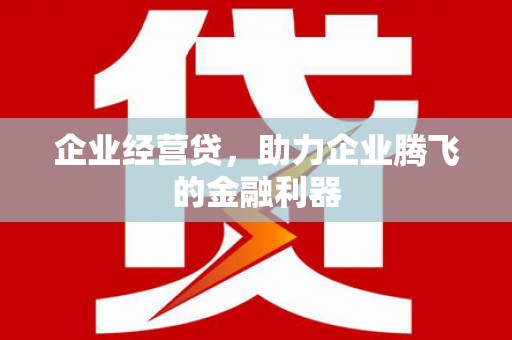 八宿企业经营贷，助力企业腾飞的金融利器