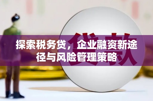 东丰探索税务贷，企业融资新途径与风险管理策略
