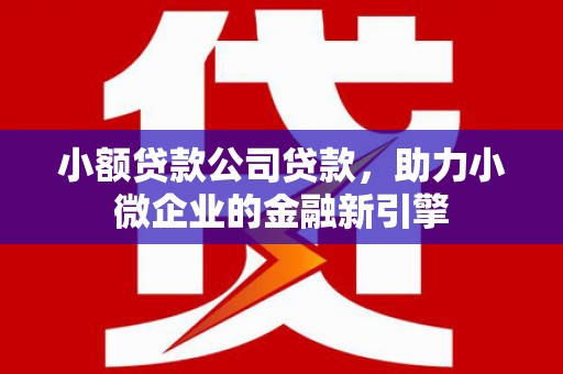 舞阳小额贷款公司贷款，助力小微企业的金融新引擎