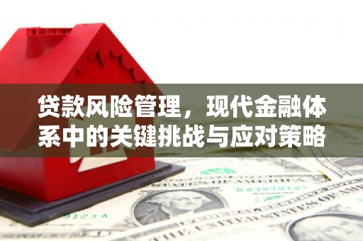 中正贷款风险管理，现代金融体系中的关键挑战与应对策略