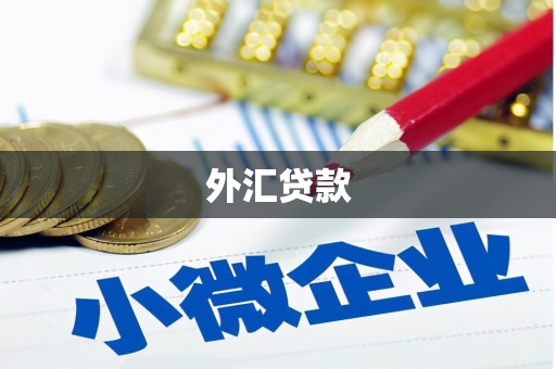 苍南外汇贷款