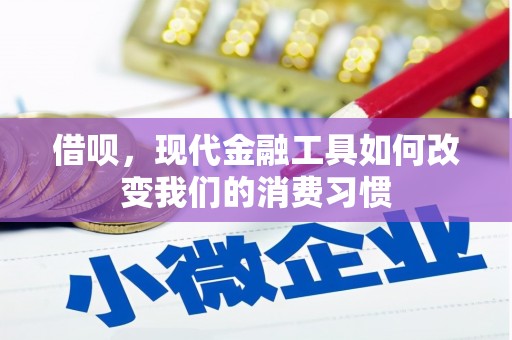 望奎借呗，现代金融工具如何改变我们的消费习惯