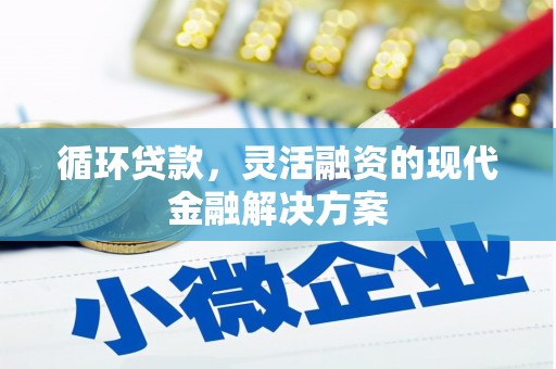 息县循环贷款，灵活融资的现代金融解决方案