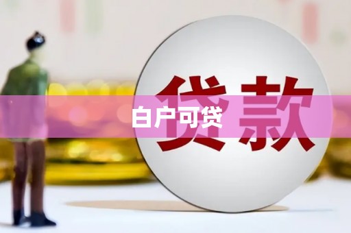 苍南白户可贷