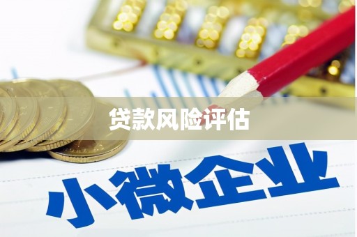 富顺贷款风险评估