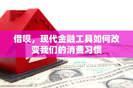 温泉借呗，现代金融工具如何改变我们的消费习惯