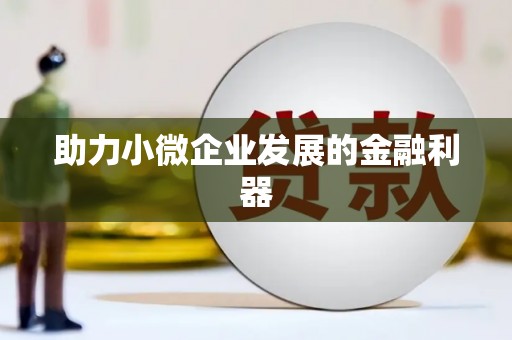 旺苍助力小微企业发展的金融利器