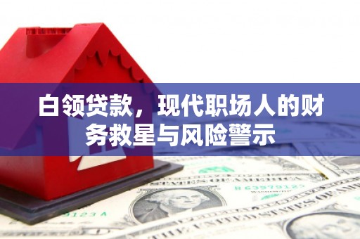 沙鹿白领贷款，现代职场人的财务救星与风险警示