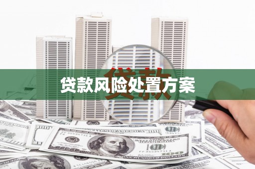 咸宁贷款风险处置方案