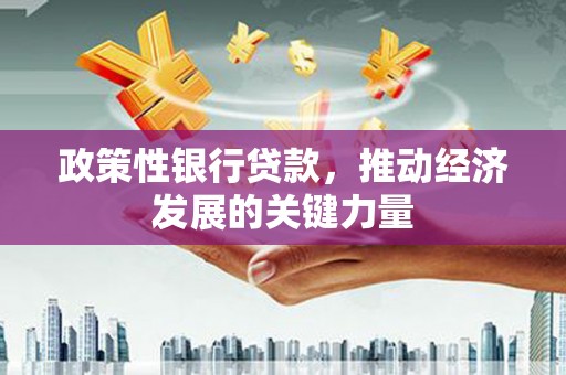 闻喜政策性银行贷款，推动经济发展的关键力量