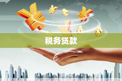 麦寮税务贷款