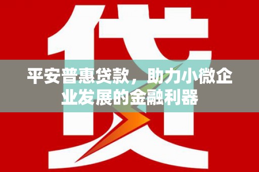 鄂伦春平安普惠贷款，助力小微企业发展的金融利器