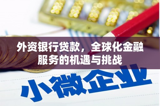 陆川外资银行贷款，全球化金融服务的机遇与挑战