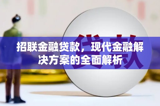 龙川招联金融贷款，现代金融解决方案的全面解析