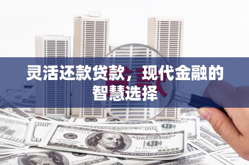 安乡灵活还款贷款，现代金融的智慧选择