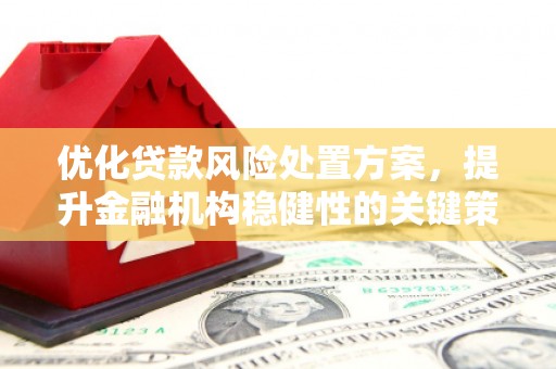 白云鄂博矿区优化贷款风险处置方案，提升金融机构稳健性的关键策略