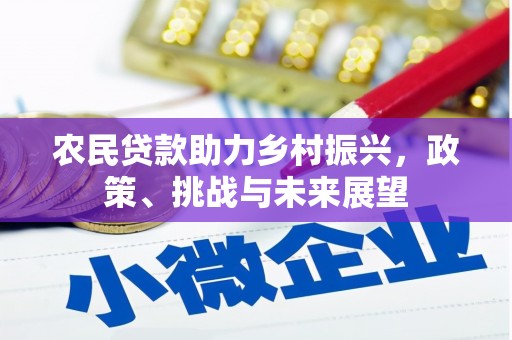 金东农民贷款助力乡村振兴，政策、挑战与未来展望
